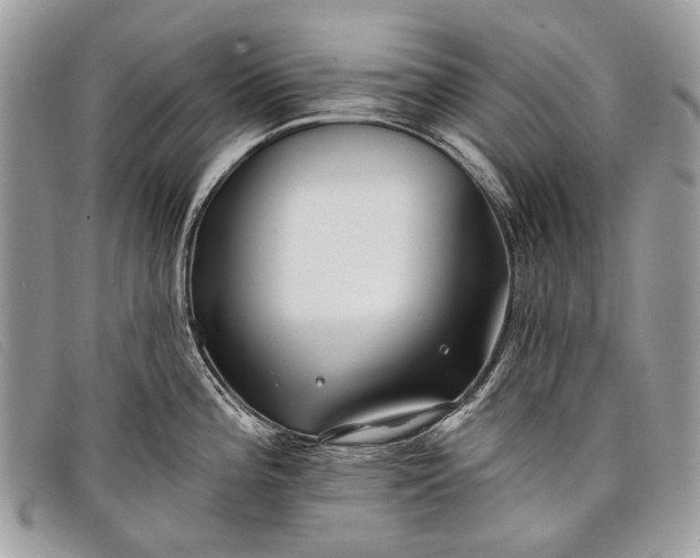 X0000098031196200804111315