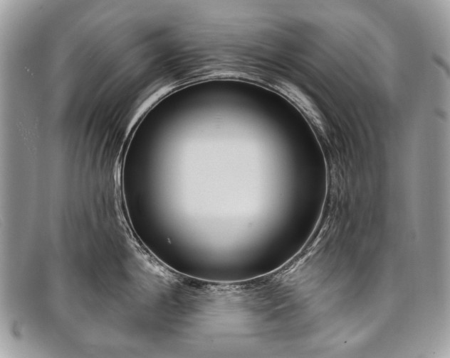 X0000098031198200804111315