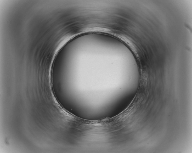 X0000098031199200804111315