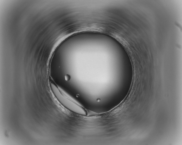 X0000098031200200804111315