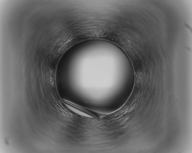 X0000098031202200804111314