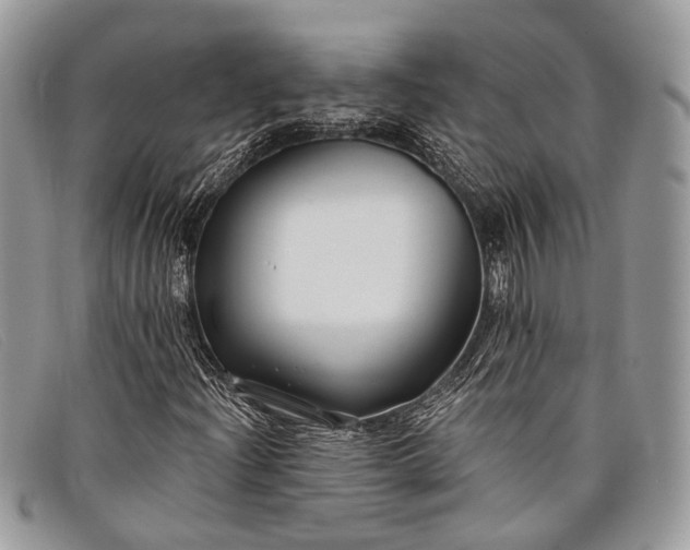 X0000098031204200804111314