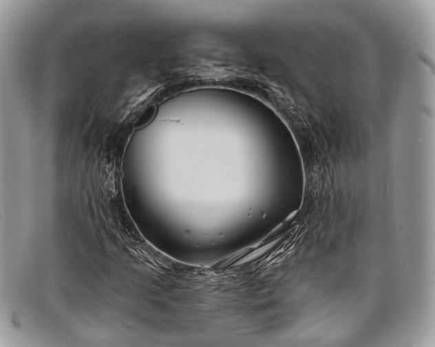 X0000098031205200804111314