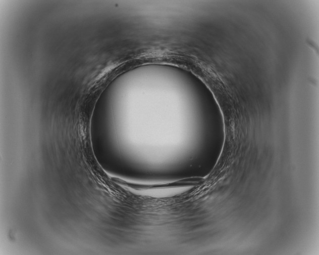 X0000098031206200804111314