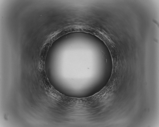 X0000098031207200804111314