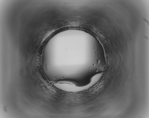 X0000098031208200804111314