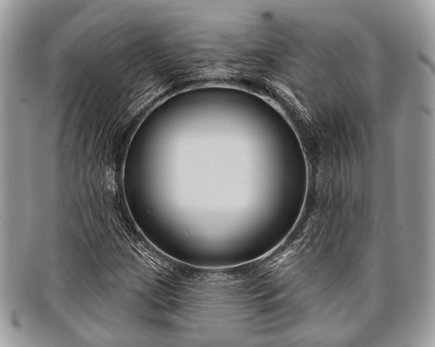 X0000098031209200804111314