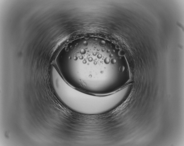 X0000098031210200804111314