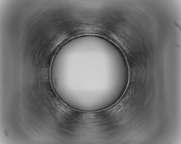 X0000098031211200804111314