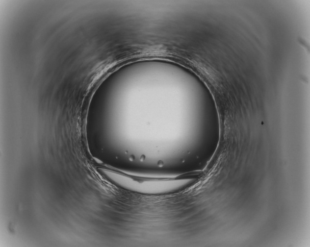 X0000098031212200804111314