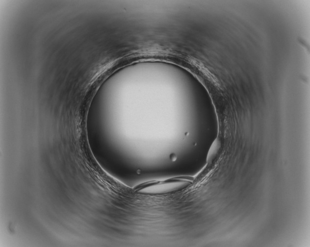 X0000098031213200804111314