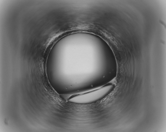 X0000098031214200804111314