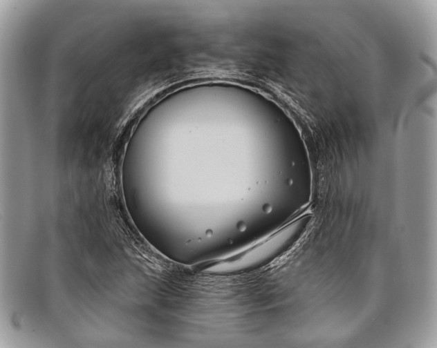 X0000098031215200804111314