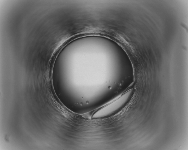 X0000098031216200804111314