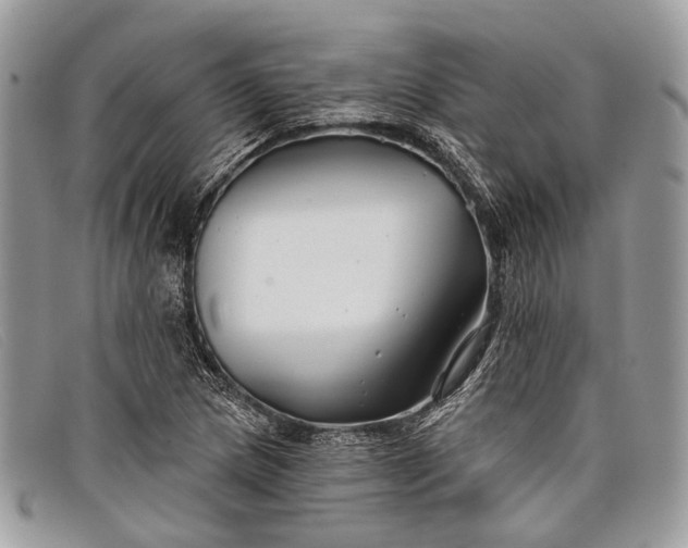 X0000098031217200804111314