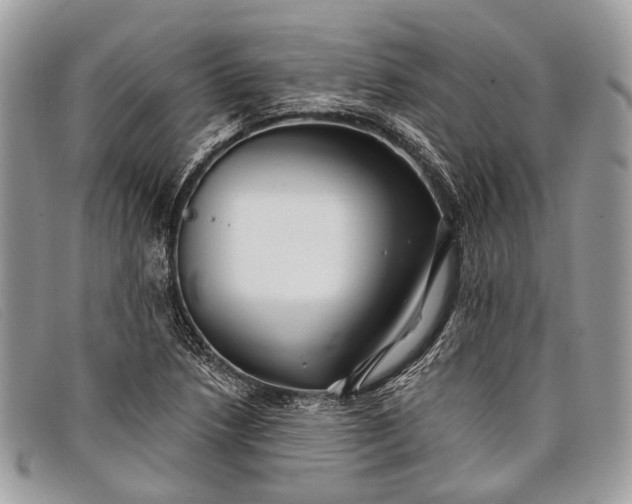 X0000098031218200804111314