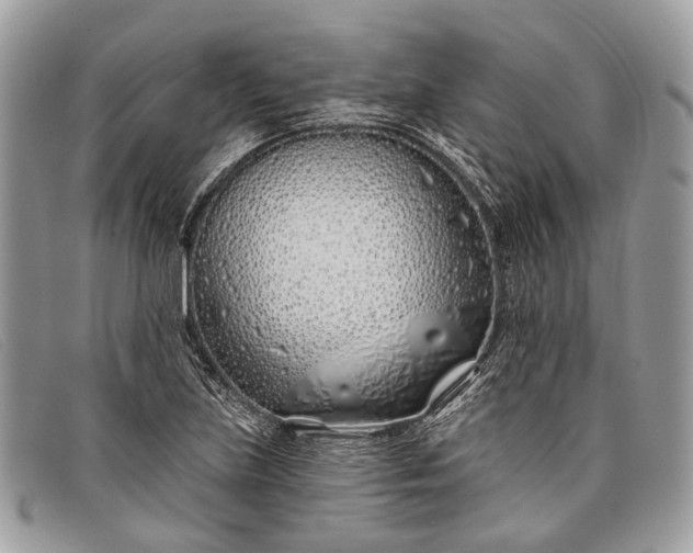 X0000098031219200804111314