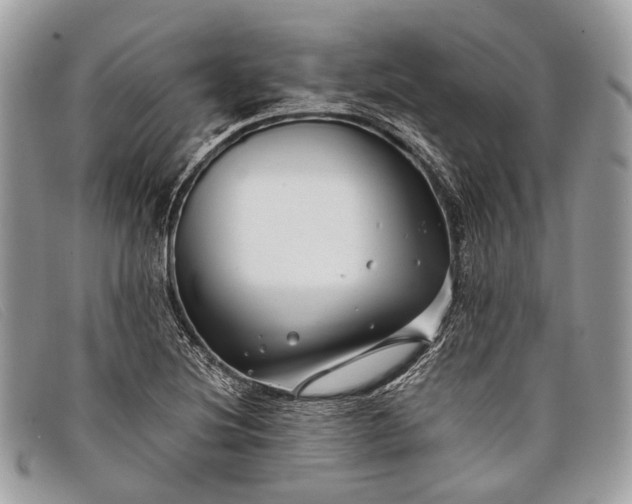 X0000098031220200804111314