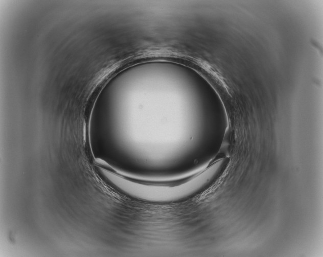 X0000098031221200804111314