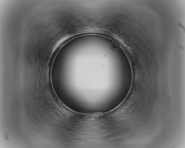 X0000098031222200804111314