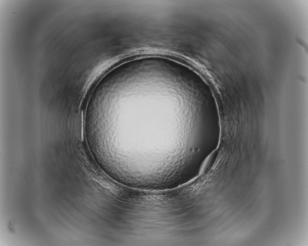 X0000098031223200804111314