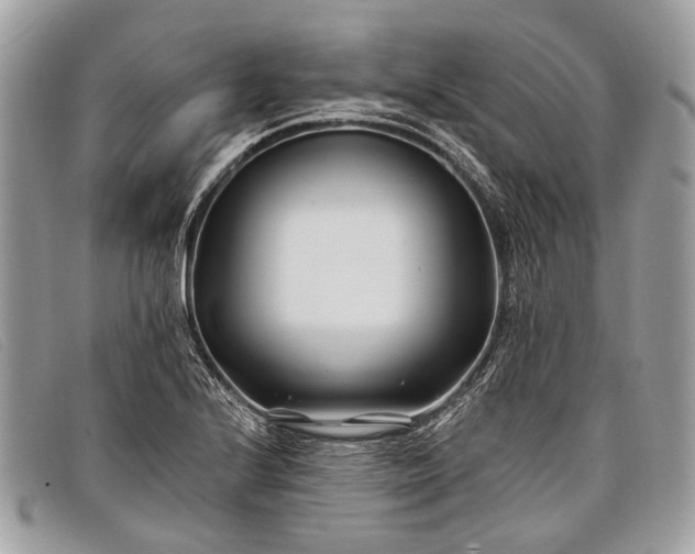 X0000098031224200804111314