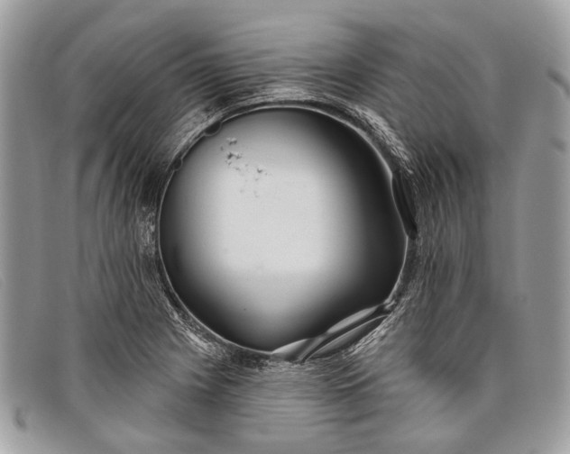 X0000098031225200804111314