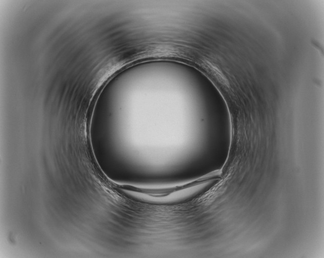 X0000098031226200804111314