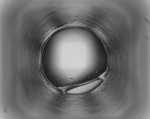 X0000098031228200804111314