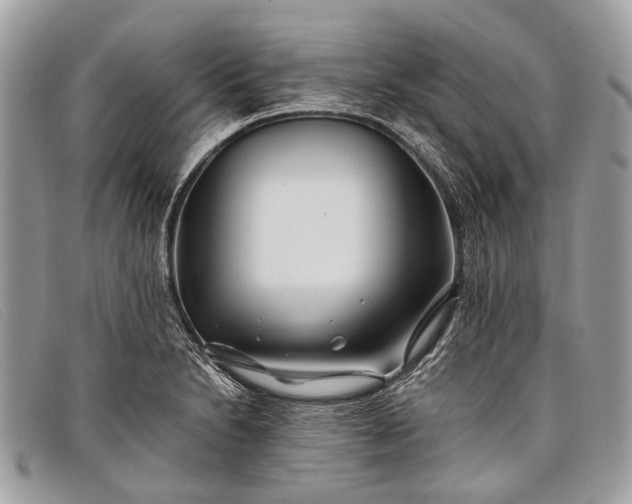 X0000098031230200804111314