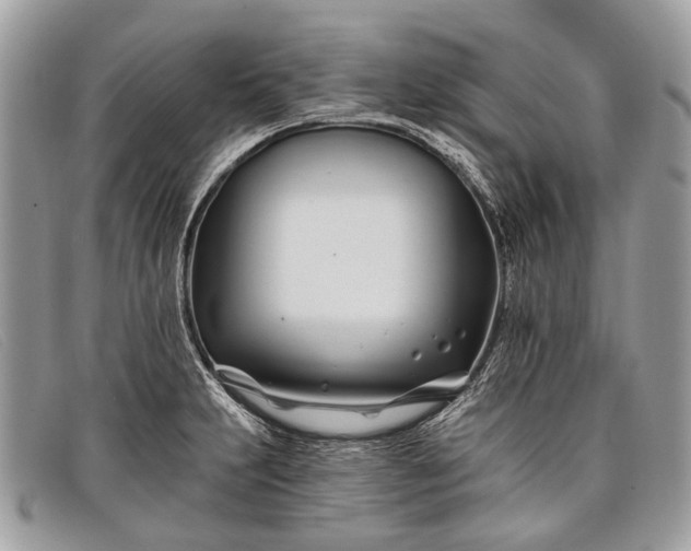 X0000098031231200804111315