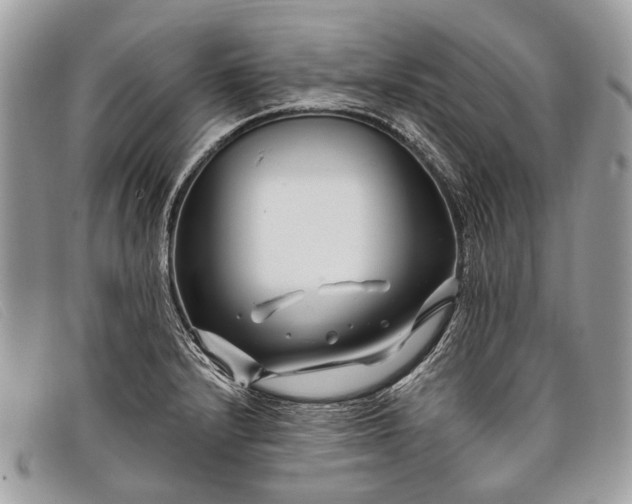 X0000098031232200804111315