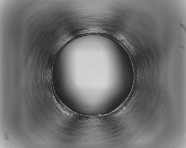 X0000098031233200804111315