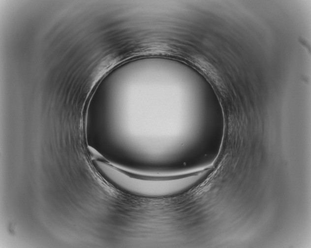 X0000098031234200804111315