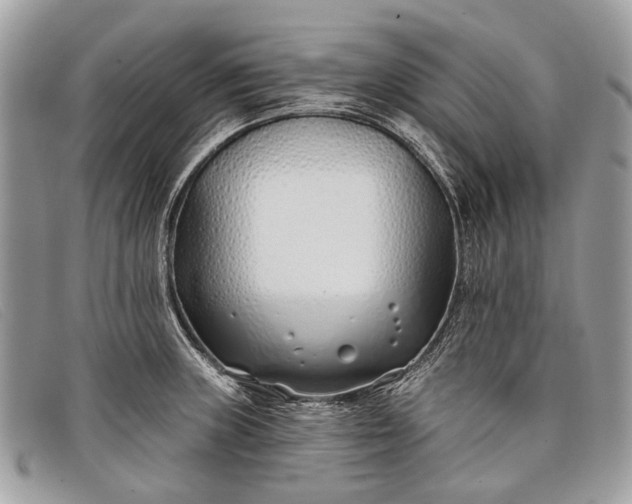 X0000098031235200804111315