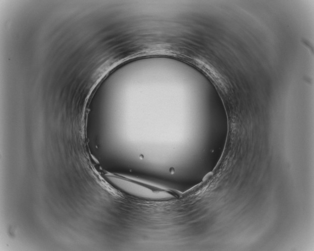 X0000098031236200804111315