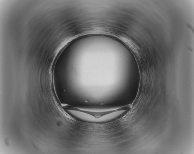 X0000098031238200804111315