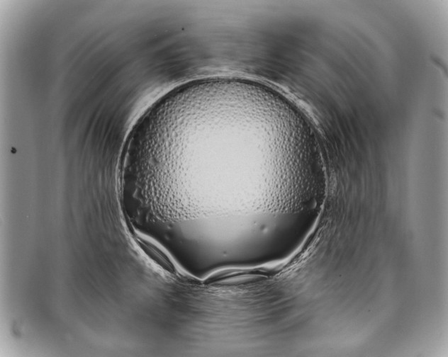 X0000098031239200804111315