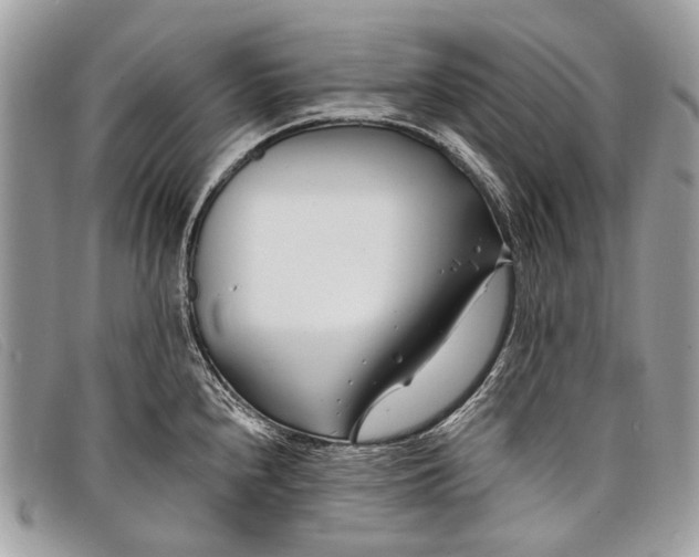 X0000098031240200804111315