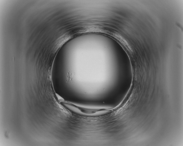 X0000098031241200804111315