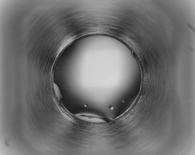 X0000098031242200804111315