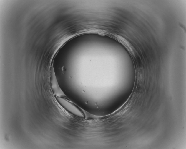 X0000098031244200804111315