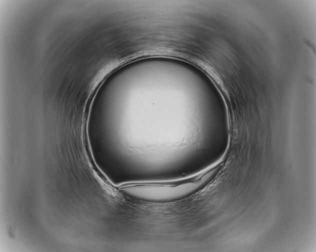 X0000098031245200804111315