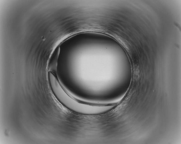 X0000098031246200804111315