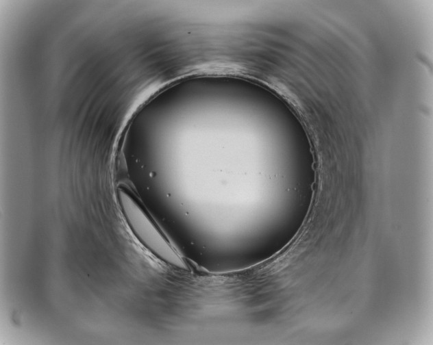 X0000098031248200804111315