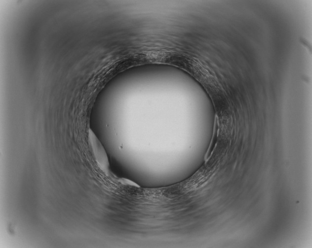 X0000098031249200804111314