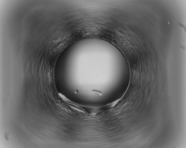 X0000098031250200804111314