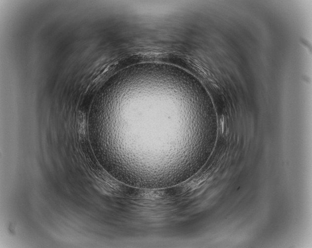 X0000098031251200804111314