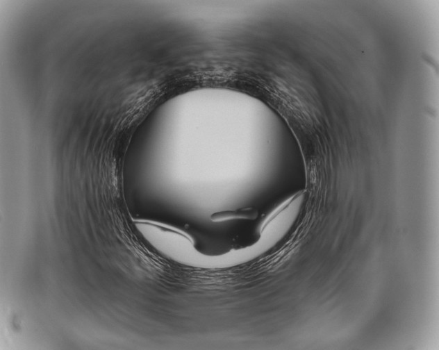 X0000098031252200804111314