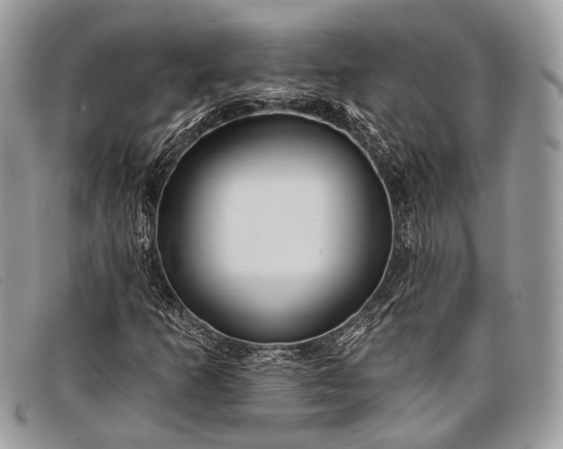 X0000098031253200804111314